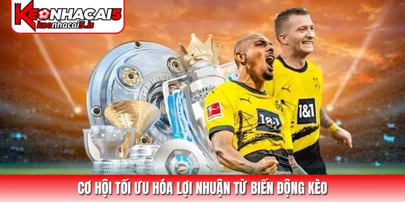 Cơ hội tối ưu hóa lợi nhuận từ biến động kèo